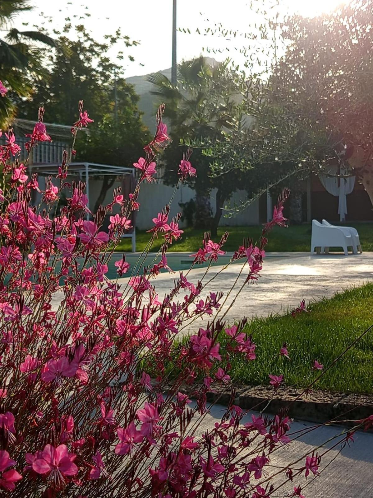 B&B Villa Limao Сарно Екстериор снимка